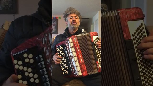 Баян!Цветёт сирень у смотреть онлайн