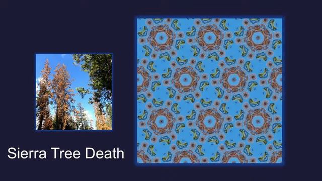 InAStateOfPatternsSubtitles5 3 18 смотреть онлайн