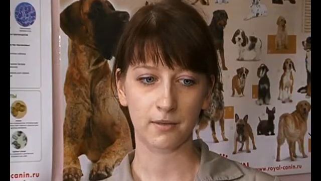 Как спасти животных от жары? смотреть онлайн
