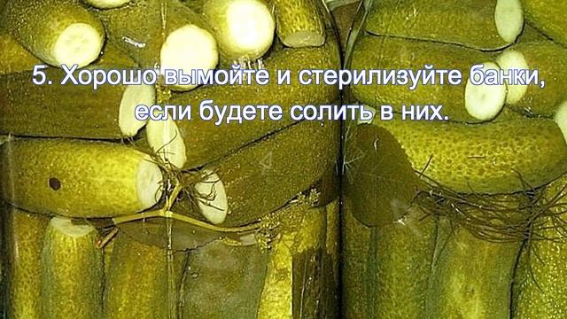 что нужно знать, чтобы удачно засолить огурцы на зиму смотреть онлайн