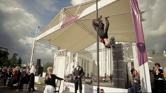 АНТИКВАРНЫЙ ЦИРК , ОЛЕСЯ ГРИНФЕЛЬД , " CABARET" смотреть онлайн