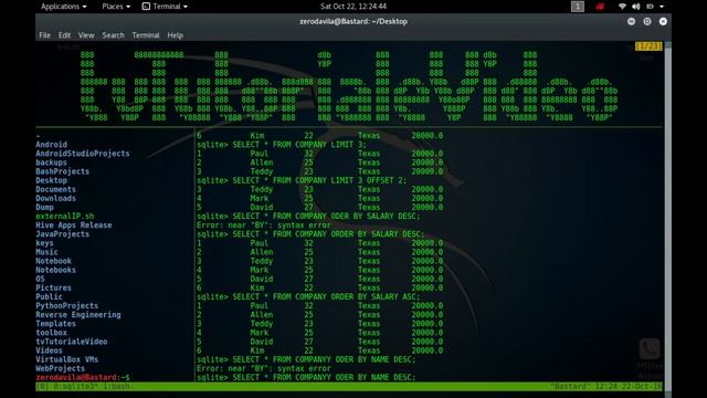Cum se utilizeaza bazele de date de tip Sqlite -2- смотреть онлайн