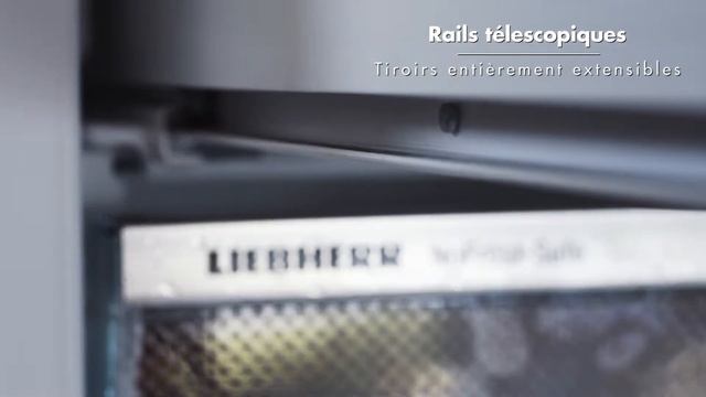 Caractéristiques Liebherr - Rails télescopiques congélateur (BluPerformance) смотреть онлайн