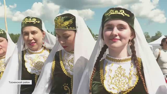 В поселке Шапки Тосненского района впервые прошел Ленинградский Сабантуй