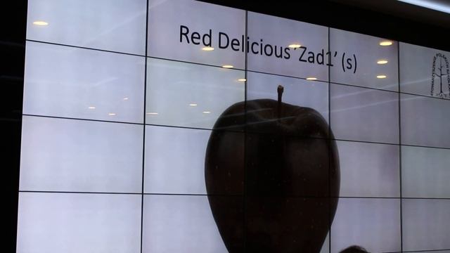 Red Delicious –jaki sport wybrać? Maciej Lipecki смотреть онлайн