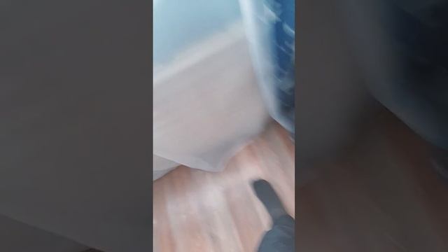 не забывайте лавровые листики, если около пельменей есть х******** или шлепа.