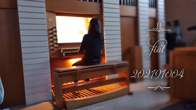 연습(노은동성당) смотреть онлайн