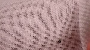 №2. Разметка равномерки черной ниткой. Уроки вышивания