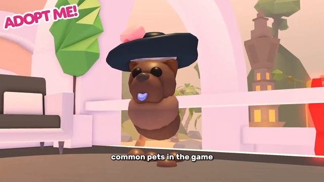 Most HATED Adopt Me PETS! Roblox Adopt Me Hated Pets In 2023 смотреть онлайн