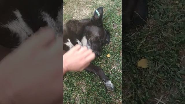 Где у женщины находится точка G. смотреть онлайн