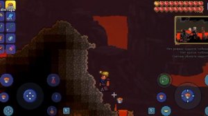 как вырастить огнецвет в террарии. Гайд для новичков.