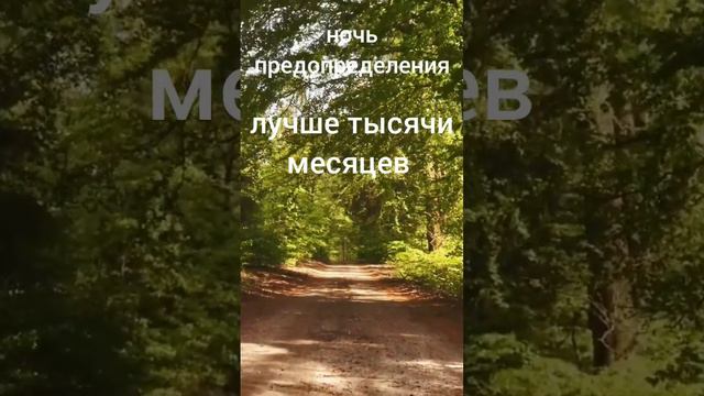 Коран Сура Qadr (Могущество) 97 аят 1-5 #ислам #коран #аят #islam #quran смотреть онлайн