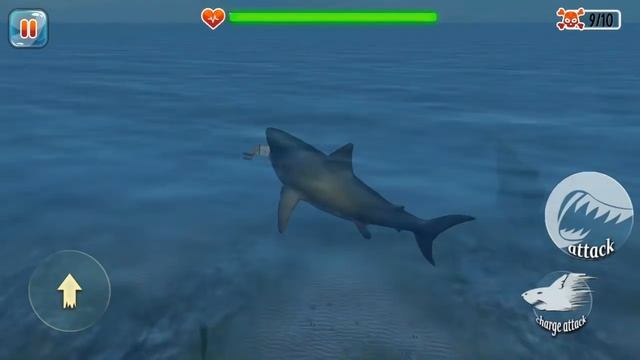 ► Scary Shark Evolution 3D #3  - Angry Shark Attack Android Gameplay