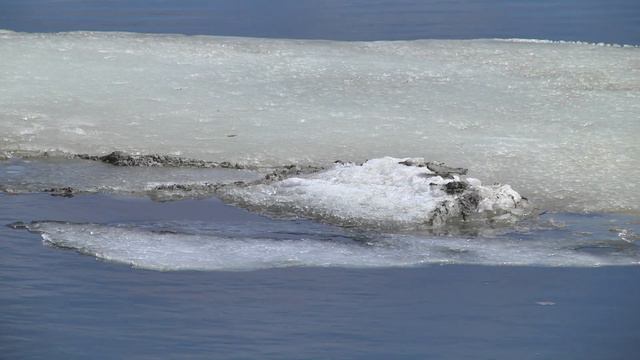 Открыли сезон, намочили кормушки! Рыбы нет, но море удовольствия. ЛФЛ СО 2021 смотреть онлайн