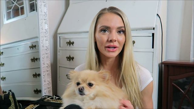 Tips for Flying With Your Dog On A Plane | Katziela Pet Carrier смотреть онлайн