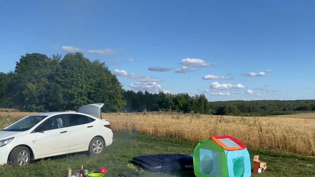 шашлыки, природа, дуденево, красота, лето смотреть онлайн