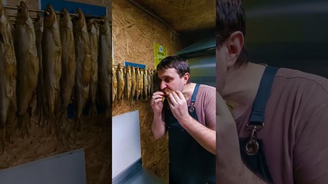 РЯПУШКА ХОЛОДНОГО КОПЧЕНИЯ, МОЕГО ПРИГОТОВЛЕНИЯ, ВСЕМ ДОБРА?? смотреть онлайн