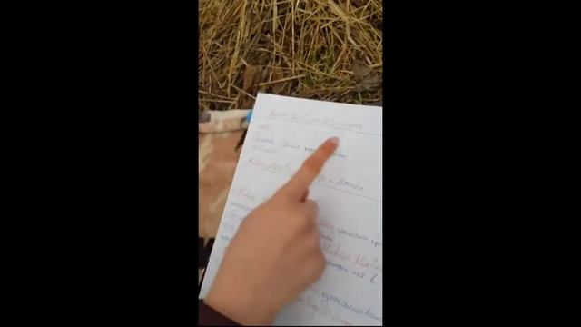 Как составлять вексель Человек Мужчина Игорь смотреть онлайн
