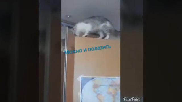 Один день из жизни Нюши:) || Влог с Нюшкой || смотреть онлайн