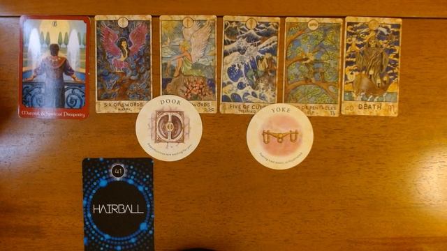 NO CONTACT-WHAT ARE THEY THINKING *Pick a card* смотреть онлайн