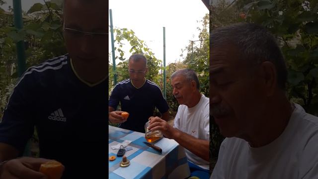 Чудо-абрикос смотреть онлайн