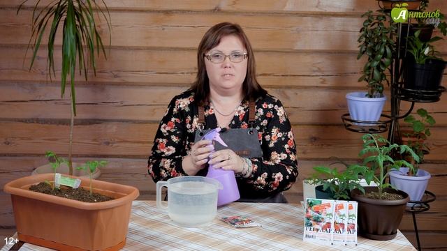 Вытягивается рассада! Причины и способы помочь смотреть онлайн