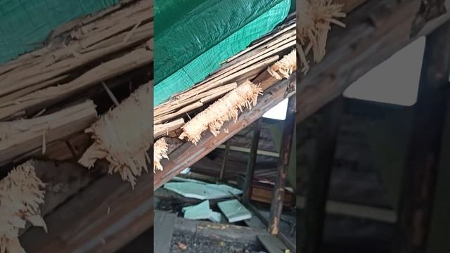 Осиновая дранка(старые технологии) смотреть онлайн