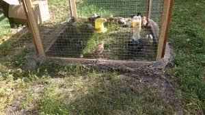 ???? Вольер для цыплят и другой птицы ❗❗Быстро дёшево❗