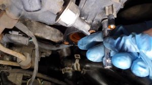 Wymiana termostatu(z obudową) - Ford Focus mk2 1.8 TDCI ( Thermostat replacement 1.8 TDCI)