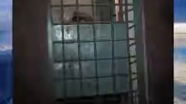 Тюрьма для Солдат ДИСБАТ НЕ ХОДИТЕ В АРМИЮ! смотреть онлайн