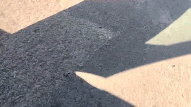 Разборка Renault - Clio 1998-2008, 1.4 (VIN: VF1BB1L0A27636565) SL52NGZ смотреть онлайн