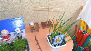 Огород на окошке в детском саду