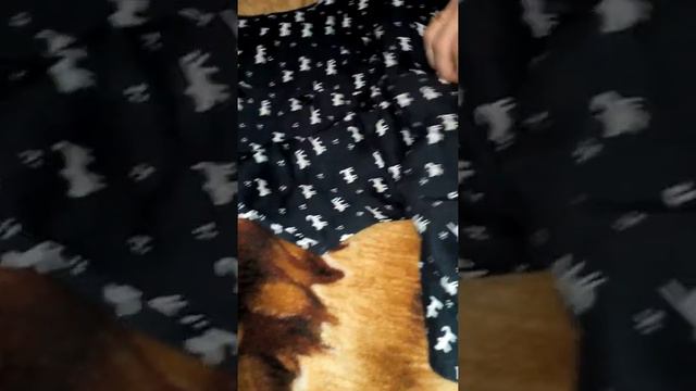 Обзор покупок с Али экспресс. Сарафан х\б с кошечками. смотреть онлайн