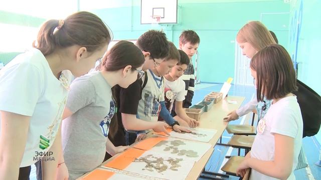 Экологическая игра -путешествие в школе №2 смотреть онлайн