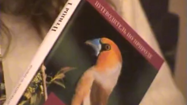 Светлена. Книги и воспитание детей смотреть онлайн