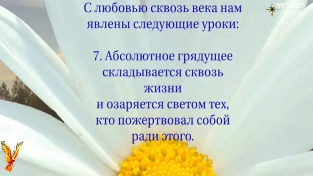 Наследие Княгиня Ольга #Сорадение #Ольга #Варяги смотреть онлайн