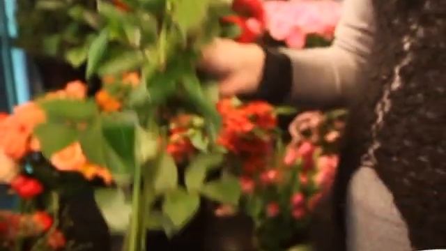 Как не дать себя обмануть при покупке роз смотреть онлайн