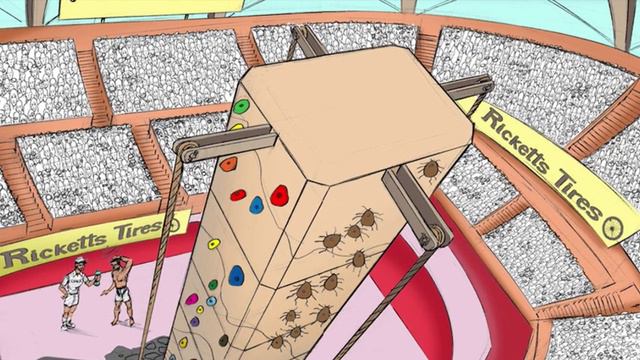 126 — Rickettsia Rickettsii