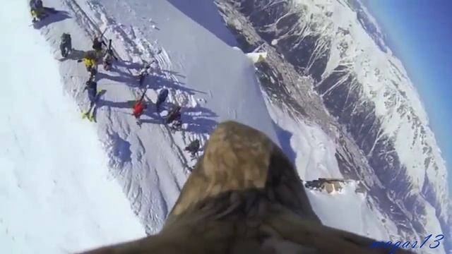 Гимн. Республики ИНГУШЕТИИ .(полет орла) смотреть онлайн