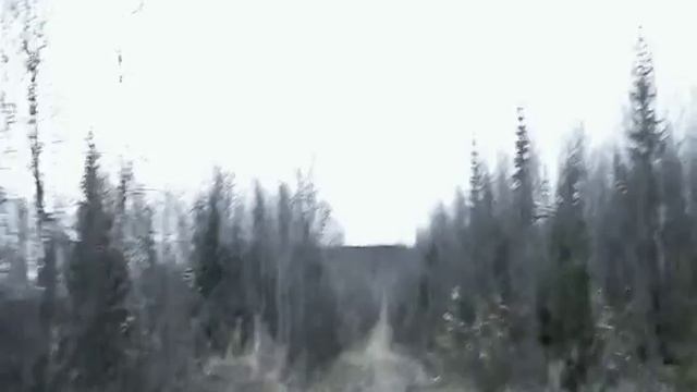 Я увидел рейка в лесу! (Смотреть всем, моя истроия) смотреть онлайн