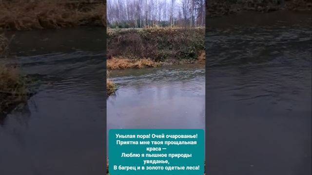 Осень. смотреть онлайн