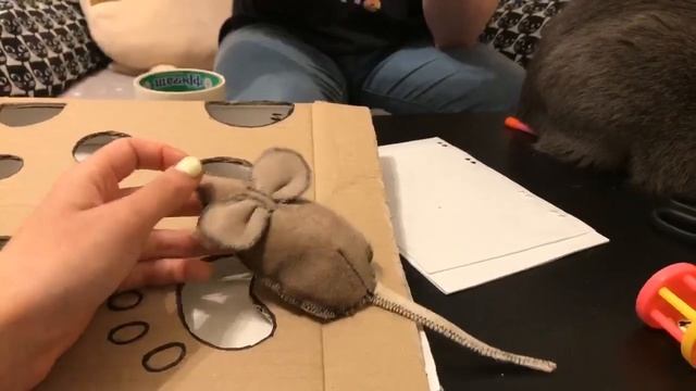 Экономим: Делаем Игрушки Для Кошек Своими Руками смотреть онлайн