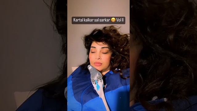 "Dal Sarkar Kartal Kalkar, Kartal Kalkar Dal Sarkar" Tekerlemesini Söyleyen Muhabbet Kuşu Meşe ?? смотреть онлайн