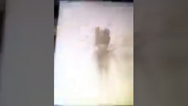 нарисовала монстров Тревора Хендерсона смотреть онлайн