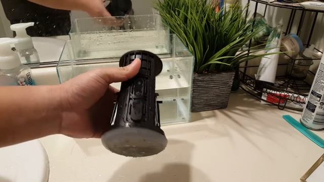 Anker Soundcore Flare WATERTEST FAILED смотреть онлайн