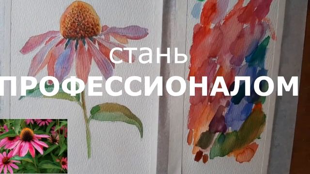 KondrashinaSCHOOL. Анонс урока Эхинацея из ONLINE курса по акварели "Цветочная фантазия" смотреть онлайн