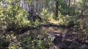 Квадр матиз