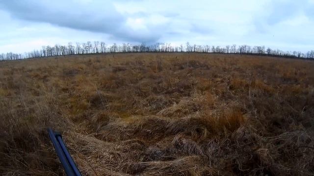 Охота на зайца с помпой "коротыш" 20 калибра. смотреть онлайн