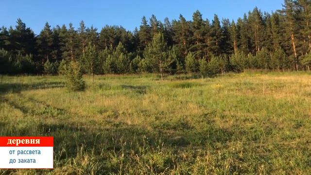 река вечером смотреть онлайн