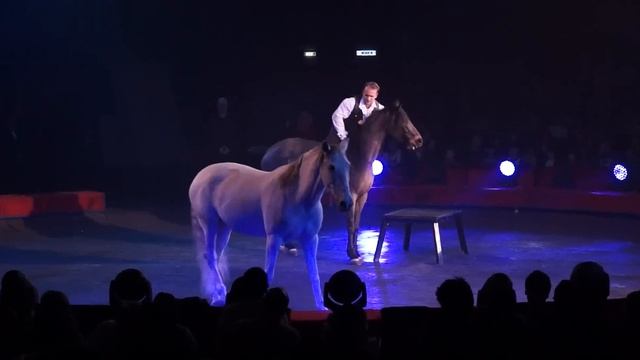 Andrea Andreuzzi al 30°Golden Circus Festival смотреть онлайн